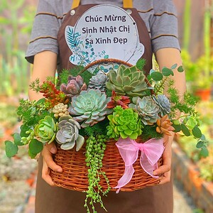 giỏ sen đá quà tặng sinh nhật cho nam nữ đặc biệt