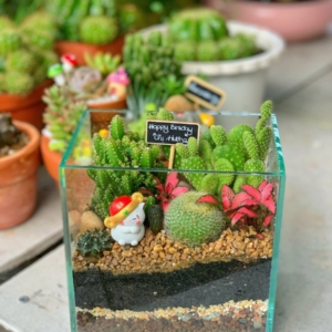 Quà tặng sinh nhật nam nữ 01