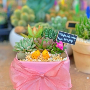 quà tặng tốt nghiệp cho nữ