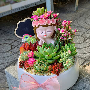 Tiểu cảnh sen đá xương rồng đẹp