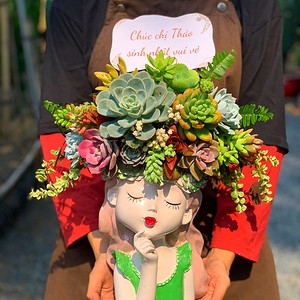 chậu tiểu cảnh sen đá cô gái