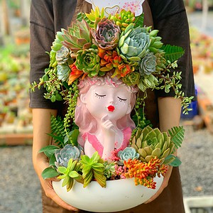 chậu tiểu cảnh sen đá cô gái lớn