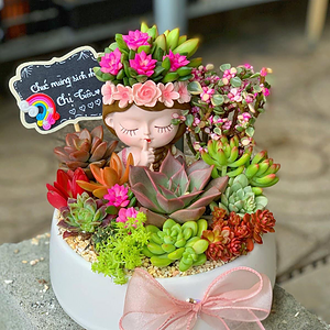 tiểu cảnh sen đá xương rồng