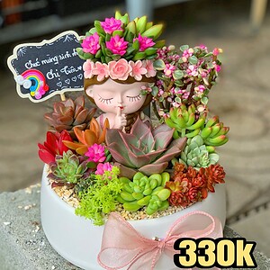 tiểu cảnh sen đá xương rồng