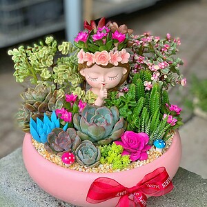 chậu tiểu cảnh sen đá xương rồng cô gái