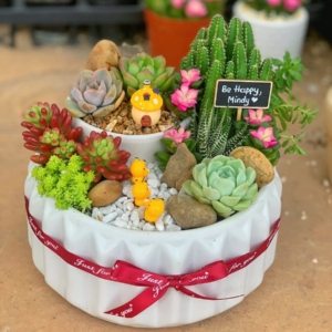 tiểu cảnh sen đá xương rồng đẹp