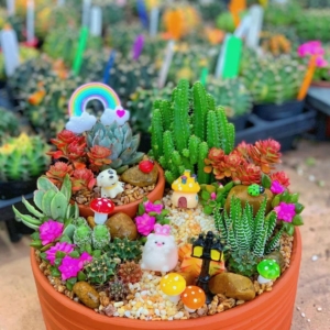 tiểu cảnh sen đá xương rồng đẹp