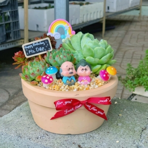 Chậu tiểu cảnh sen đá xương rồng