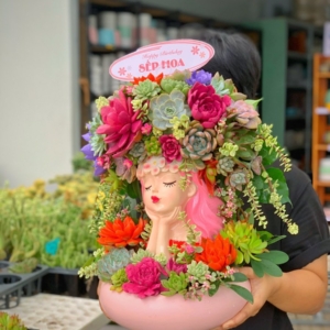 chậu sen đá quà tặng lớn