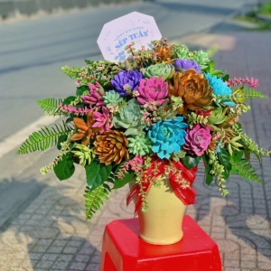 chậu sen đá quà tặng lớn