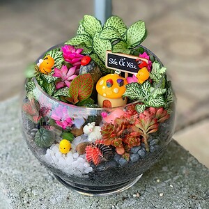 tiểu cảnh sen đá xương rồng