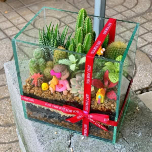 tiểu cảnh sen đá xương rồng