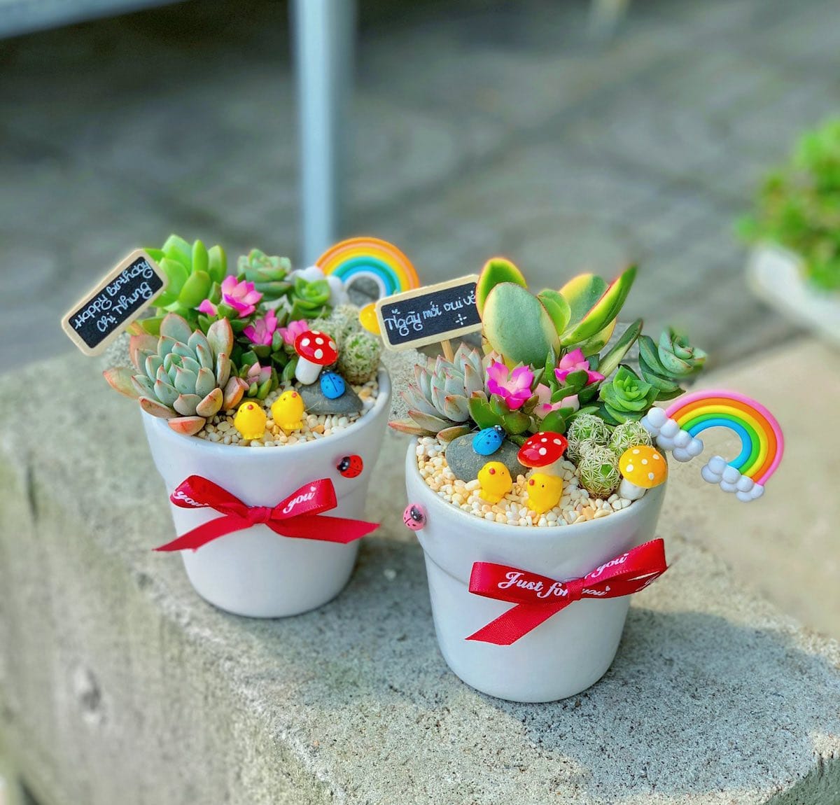 tiểu cảnh sen đá xương rồng