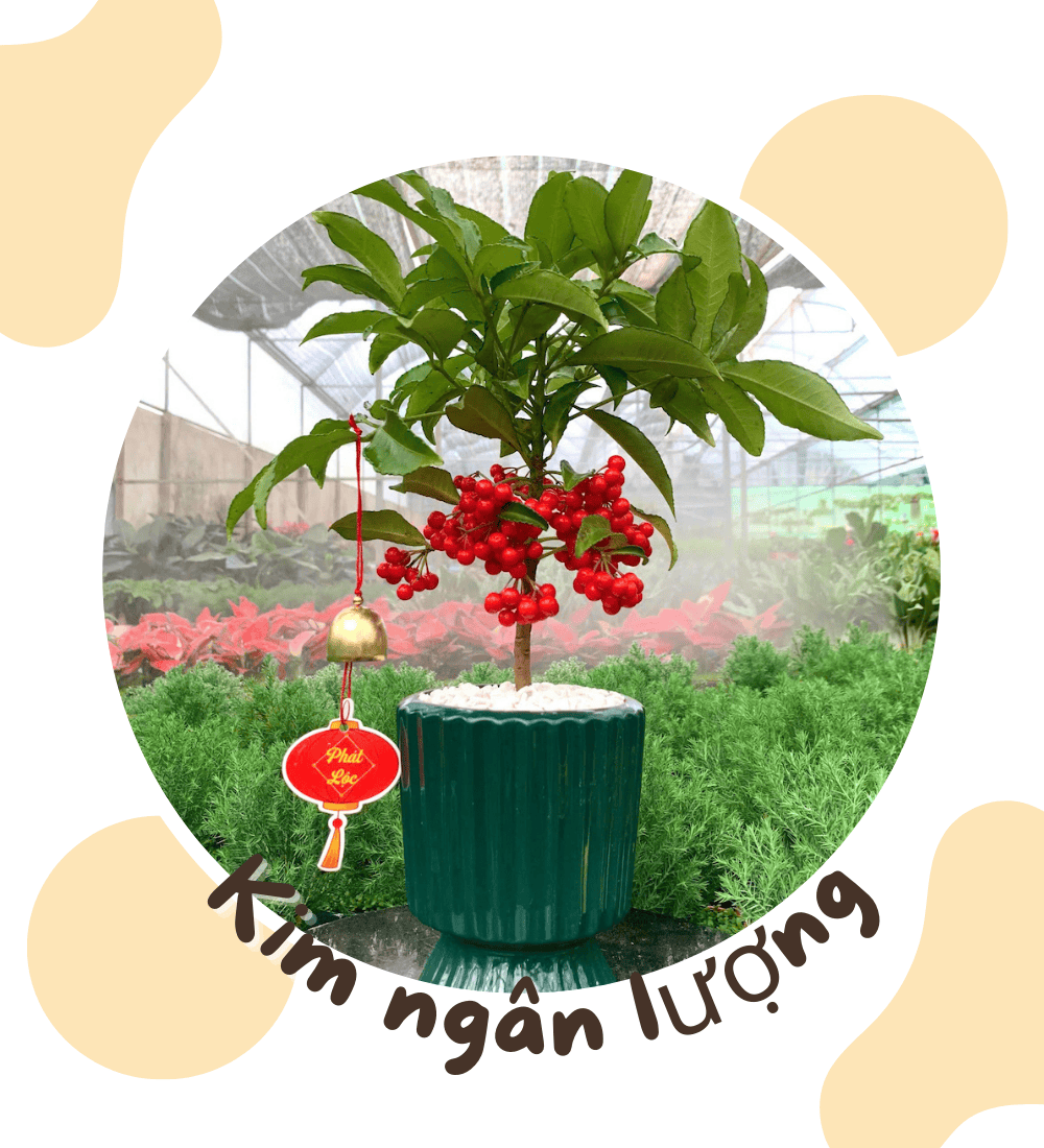 banner ngoctangarden