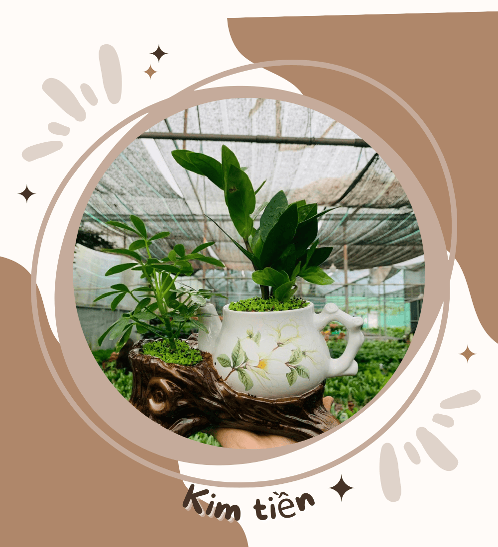 banner ngoctangarden