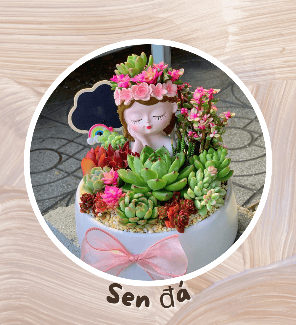 banner ngoctangarden