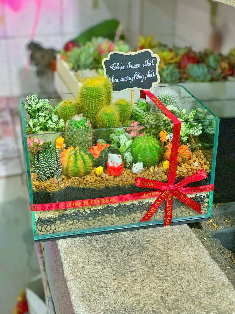 Terrarium sen đá xương rồng – Khu Vườn Xanh Trong Bể Kính