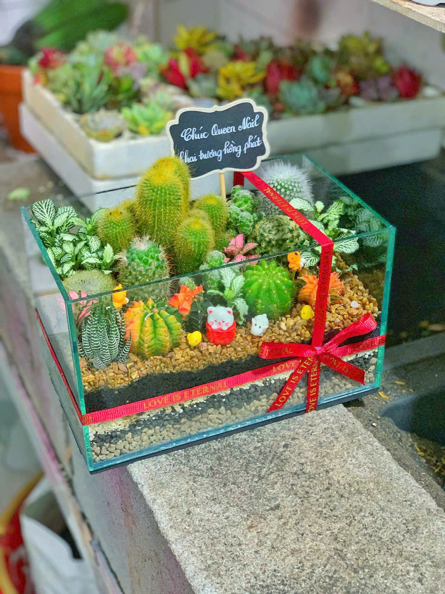 Terrarium sen đá xương rồng – Khu Vườn Xanh Trong Bể Kính