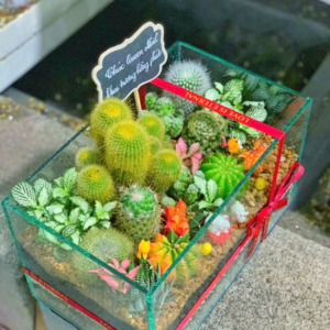 Terrarium sen đá xương rồng – Khu Vườn Xanh Trong Bể Kính