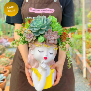 Chậu hoa sen đá cô gái không chân