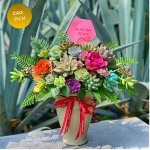 chậu hoa sen đá trung