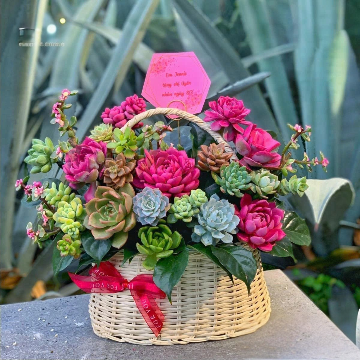 giỏ hoa sen đá xương rồng