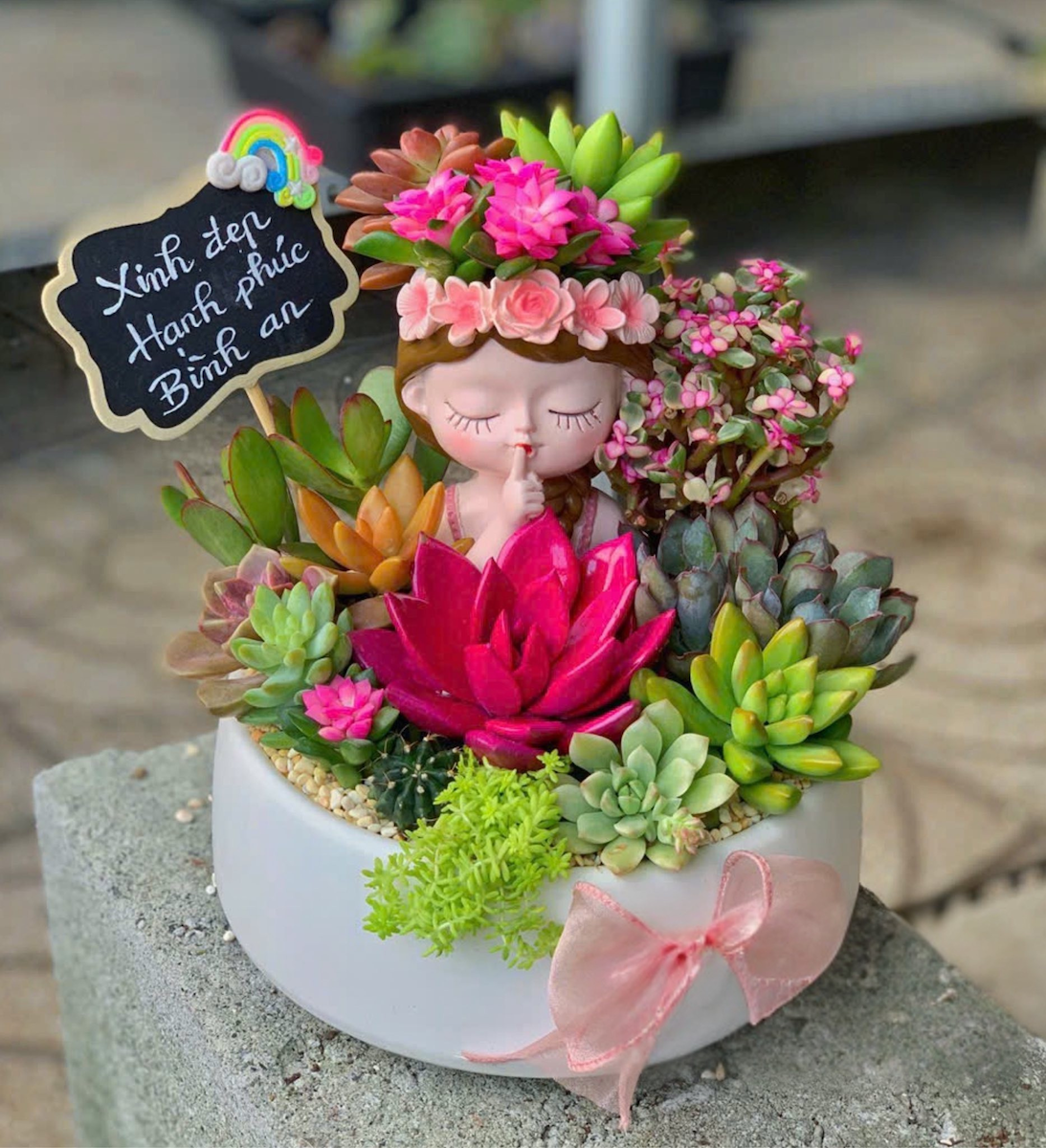 Quà tặng sen đá xương rồng đẹp cô gái trung