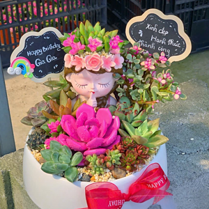 Quà tặng sen đá xương rồng đẹp cô gái trung