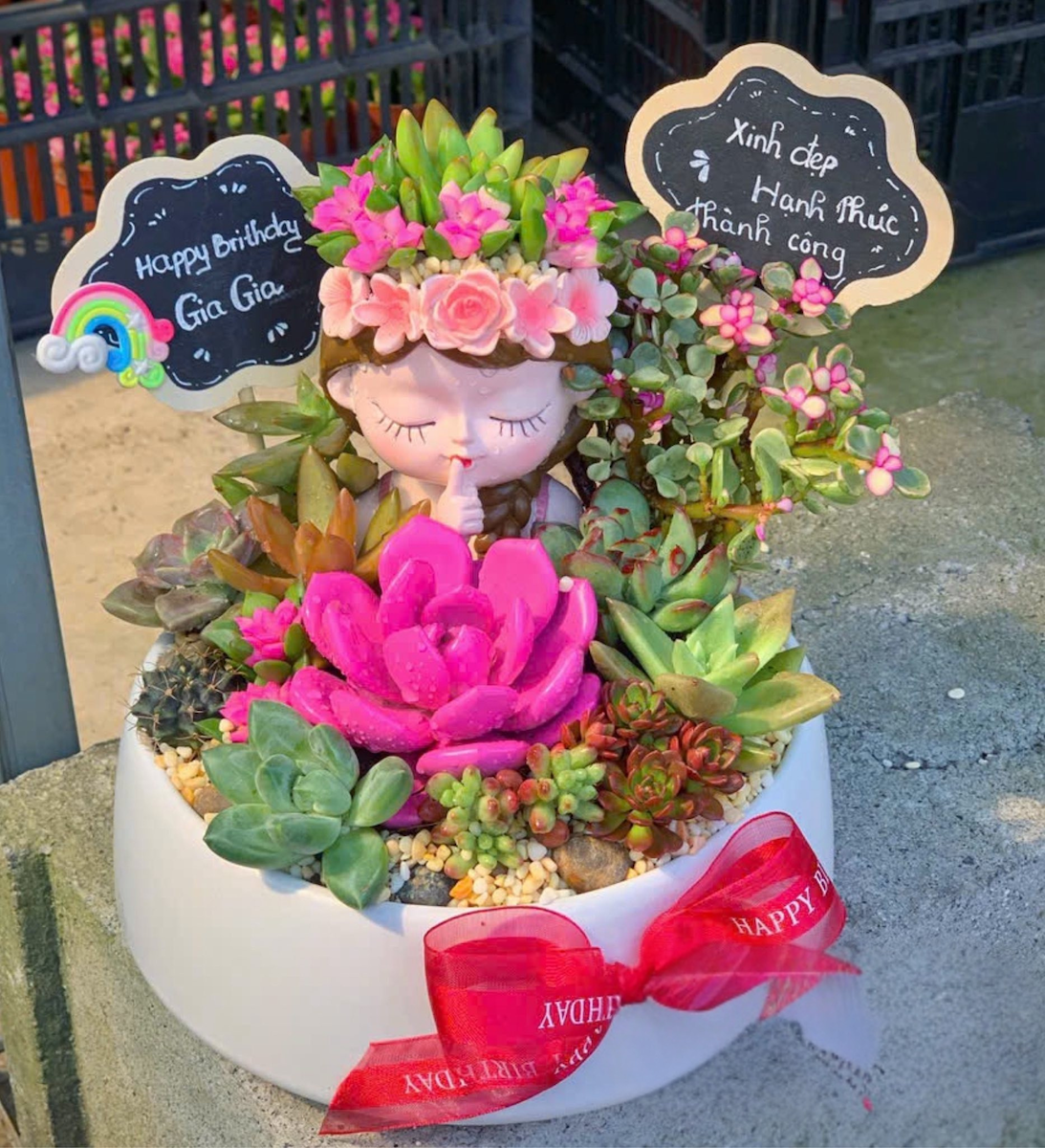 Quà tặng sen đá xương rồng đẹp cô gái trung