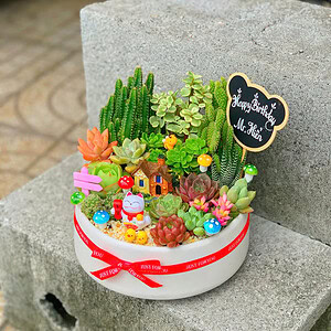 sen đá quà tặng
