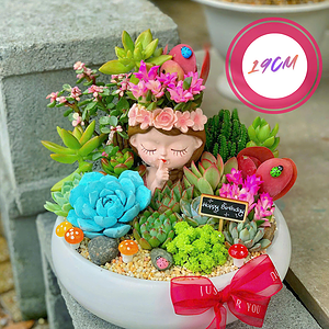 set quà tặng sen đá xương rồng cô gái