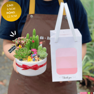 set quà tặng sen đá xương rồng