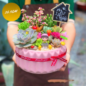 set quà tặng sen đá xương rồng