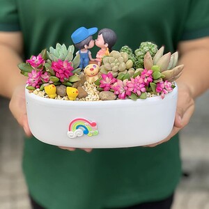 vườn sen đá tình yêu