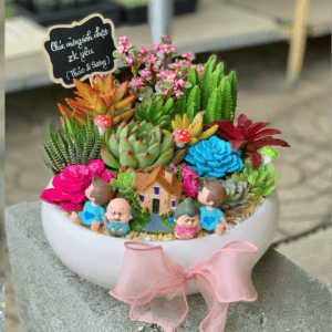 Ngôi nhà mơ ước sen đá xương rồng lớn