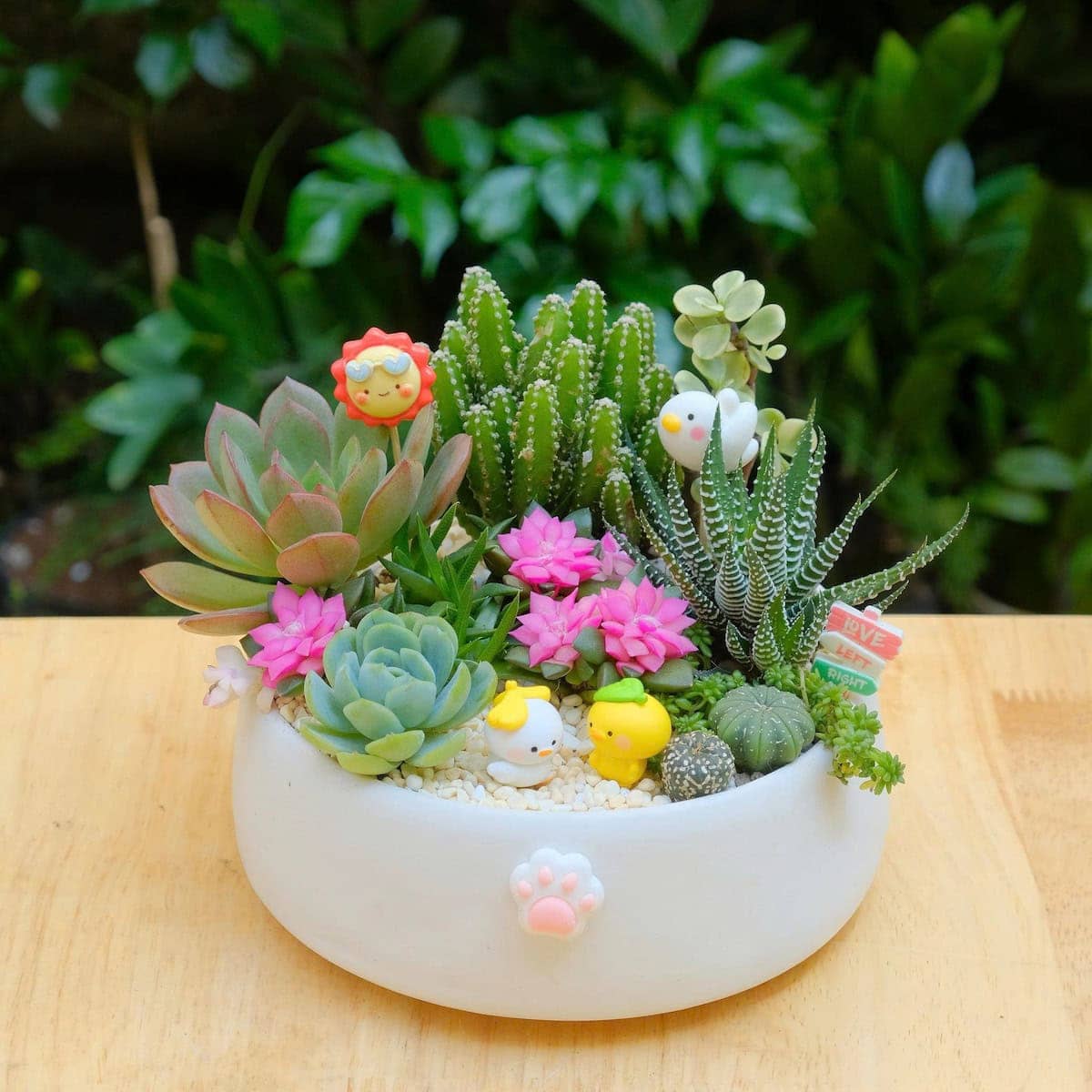 Dịp tặng sen đá cho người yêu ý nghĩa