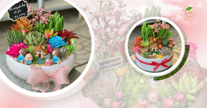 mẫu tiểu cảnh sen đá sân vườn