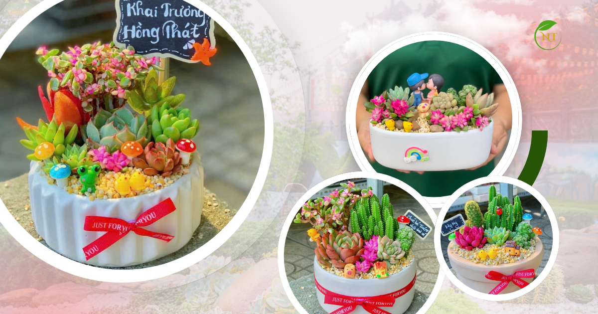 tiểu cảnh sen đá đơn giản