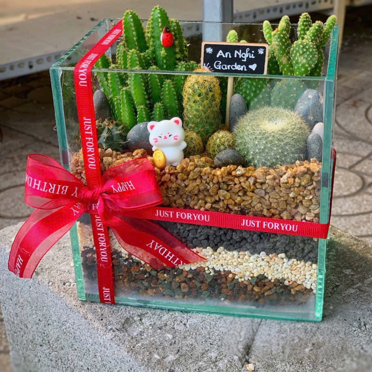 Tiểu cảnh sen đá trong chậu thuỷ tinh