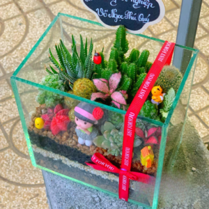 Tiểu cảnh sen đá trong chậu thuỷ tinh