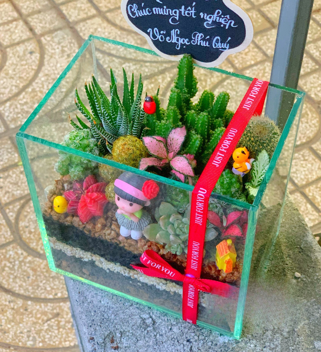 Tiểu cảnh sen đá trong chậu thuỷ tinh