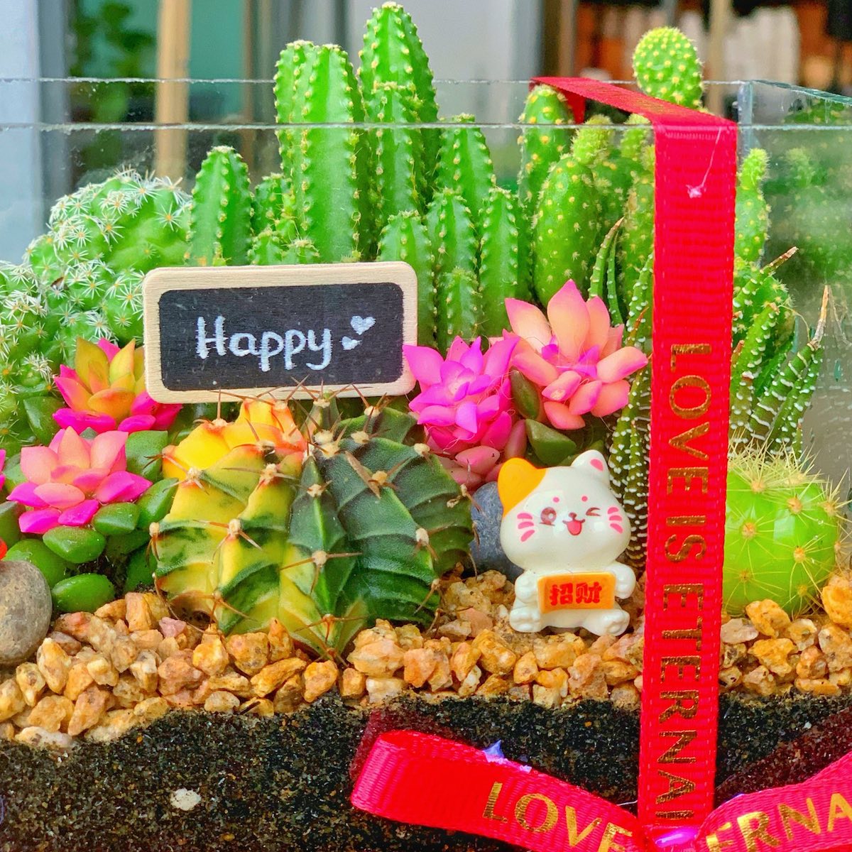 Tiểu cảnh sen đá trong chậu thuỷ tinh