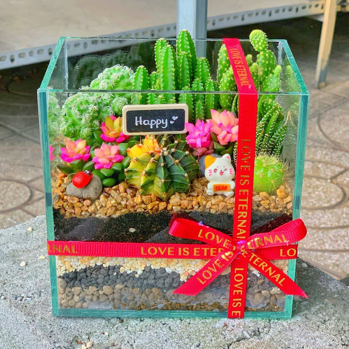 Tiểu cảnh sen đá trong chậu thuỷ tinh