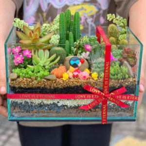 Tiểu cảnh sen đá trong chậu thuỷ tinh lớn