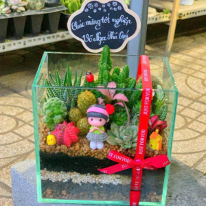 Tiểu cảnh sen đá trong chậu thuỷ tinh nhỏ