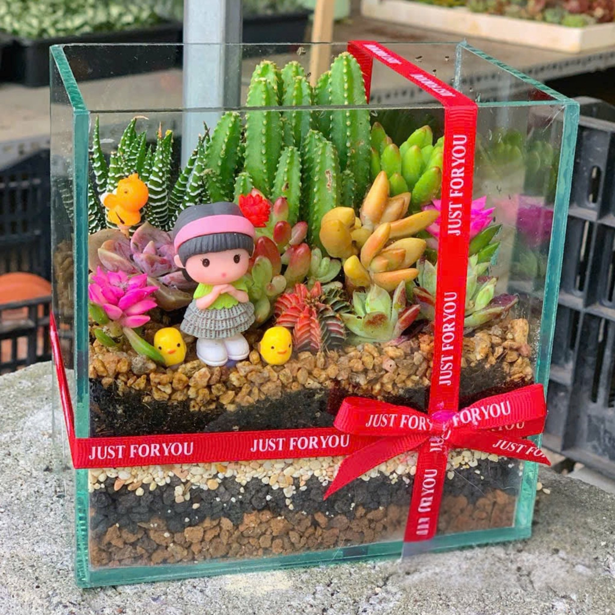 Tiểu cảnh sen đá trong chậu thuỷ tinh