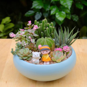 tiểu cảnh sen đá xương rồng để bàn đẹp