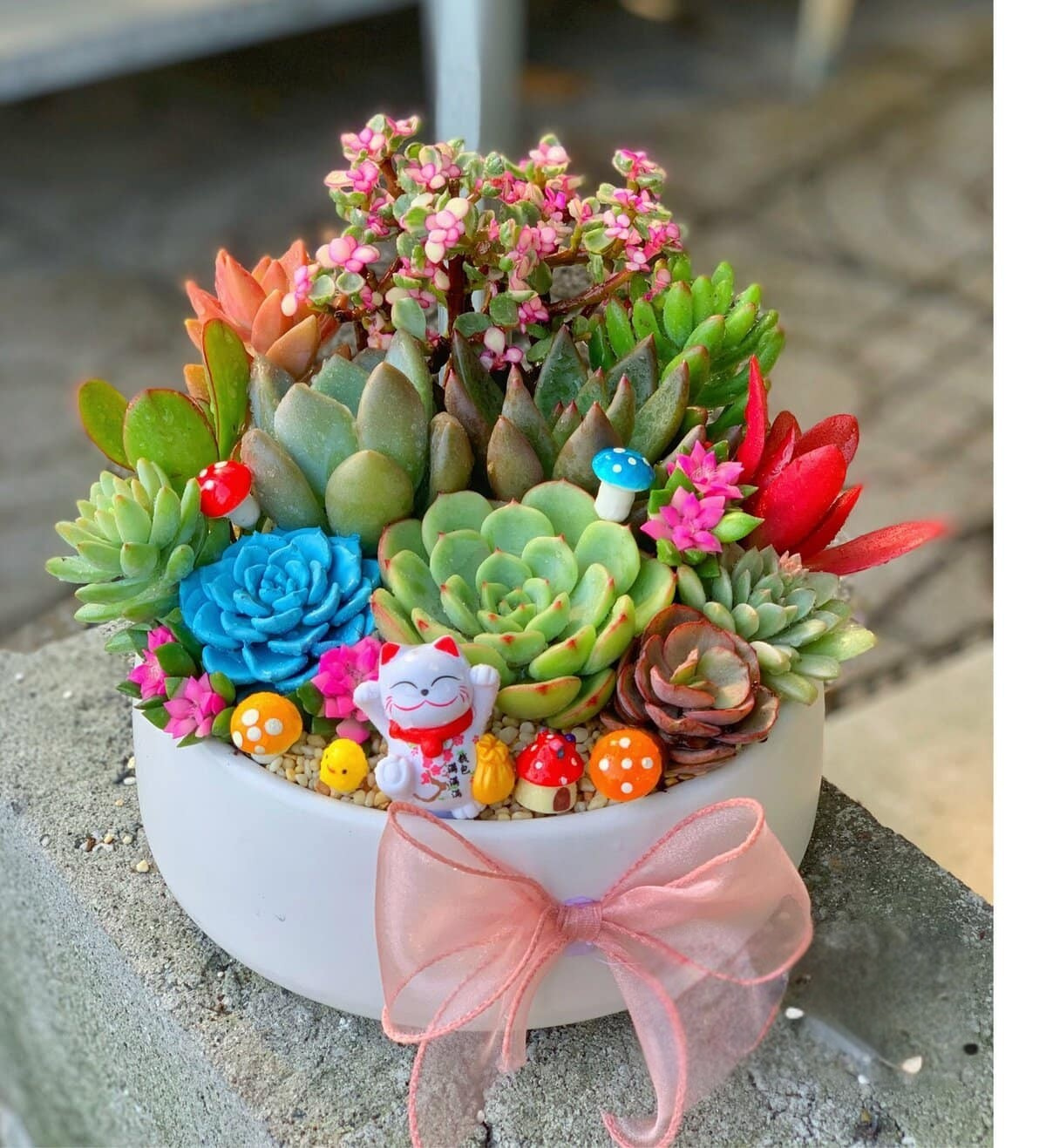 Chậu sen đá trang trí khai trương với nhiều loại succulents đẹp mắt, phù hợp tặng chúc mừng khai trư.